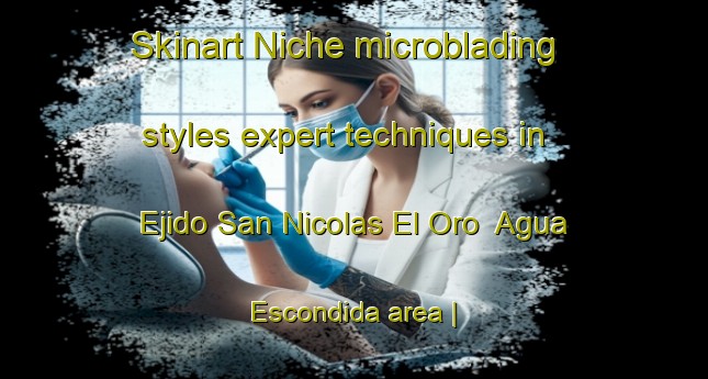 Skinart Niche microblading styles expert techniques in Ejido San Nicolas El Oro  Agua Escondida area | MicrobladingTraining | MicrobladingClasses | SkinartTraining-Mexico